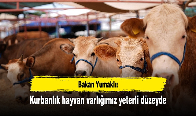 Bakan Yumaklı: Kurbanlık hayvan varlığımız yeterli düzeyde