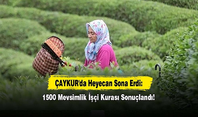 ÇAYKUR’da 1500 Mevsimlik İşçi Kurası Tamamlandı
