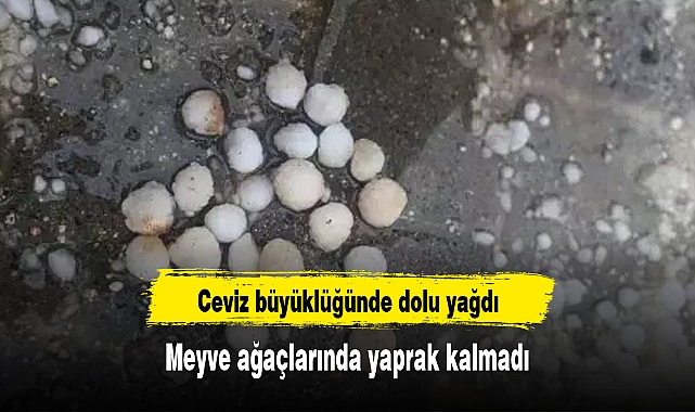 Ceviz büyüklüğünde dolu yağdı, meyve ağaçlarında yaprak kalmadı