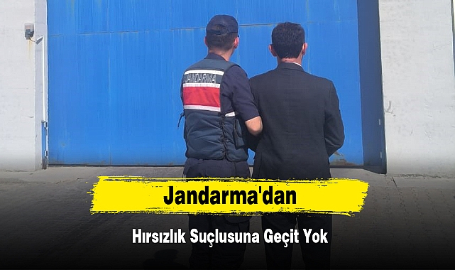 Jandarma'dan Hırsızlık Suçlusuna Geçit Yok