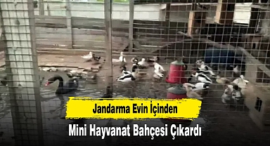 Jandarma Evin İçinden Mini Hayvanat Bahçesi Çıkardı
