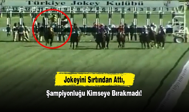 Jokeyini Sırtından Attı, Şampiyonluğu Kimseye Bırakmadı!