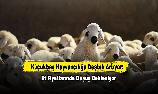 Küçükbaş Hayvancılığa Destek Artıyor: Et Fiyatlarında Düşüş Bekleniyor
