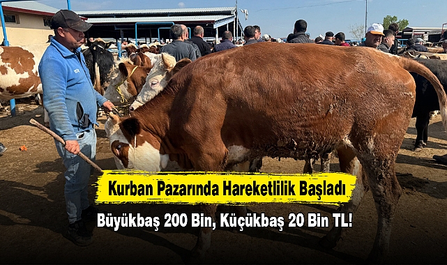 Kurban Pazarında Hareketlilik Başladı: Büyükbaş 200 Bin, Küçükbaş 20 Bin TL!