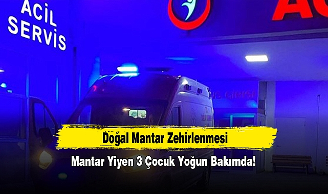 Mantar Yiyen 3 Çocuk Yoğun Bakımda!