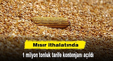 Mısır ithalatında 1 milyon tonluk tarife kontenjanı açıldı