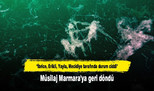 Müsilaj Marmara'ya geri döndü