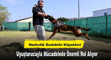 Narkotik Dedektör Köpekleri Uyuşturucuyla Mücadelede Önemli Rol Alıyor