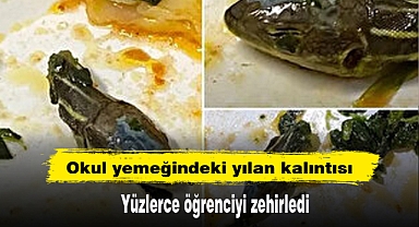 Okul yemeğindeki yılan kalıntısı, yüzlerce öğrenciyi zehirledi
