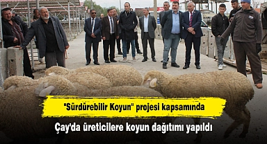 "Sürdürebilir Koyun" projesi kapsamında Çay'da üreticilere koyun dağıtımı yapıldı