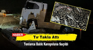Tır Takla Attı, Tonlarca Balık Karayoluna Saçıldı!