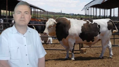 Sattığı kurbanlık dananın fotoğrafını çekerken canından oldu