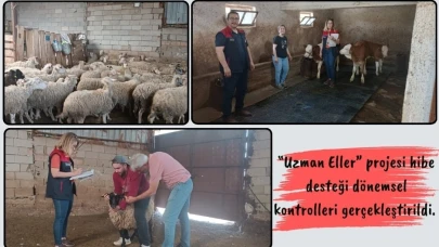 Hibe Desteklerinden Yararlanan Çiftçilerin Projeleri İncelendi