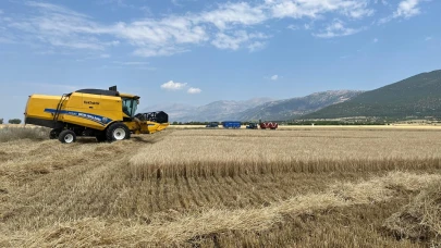 Afyonkarahisar’da 2025 Yılı Hububat Hasadı Başladı