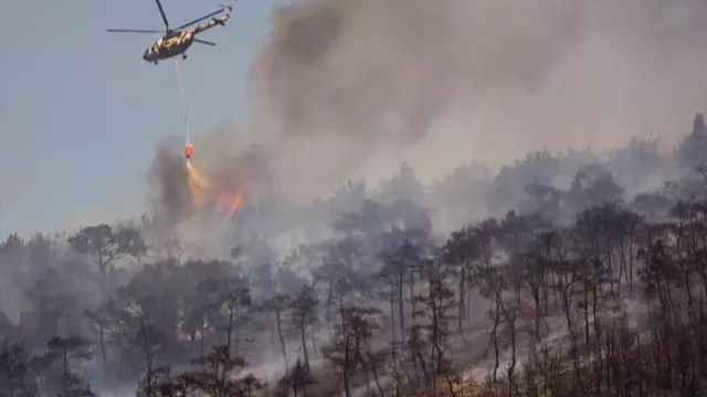 Foça'da Orman Yangını Evlere Sıçradı