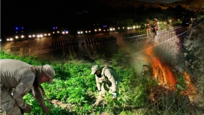 100 Tondan Fazla Esrar Elde Edilebilecek Kenevir Ele Geçirildi