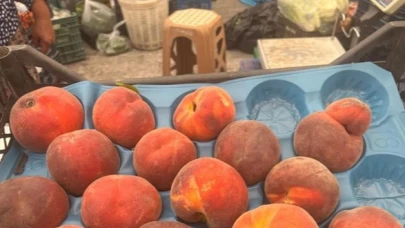 Şeftali ve Nektarinde Büyük Kayıp: Yaz Aylarında Fiyatlar Artacak