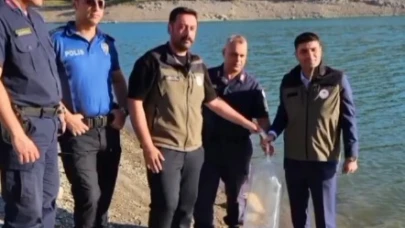 Bayat’daki gölet ve sulak alanlara 10 bin sazan balığı yavrusu bırakıldı