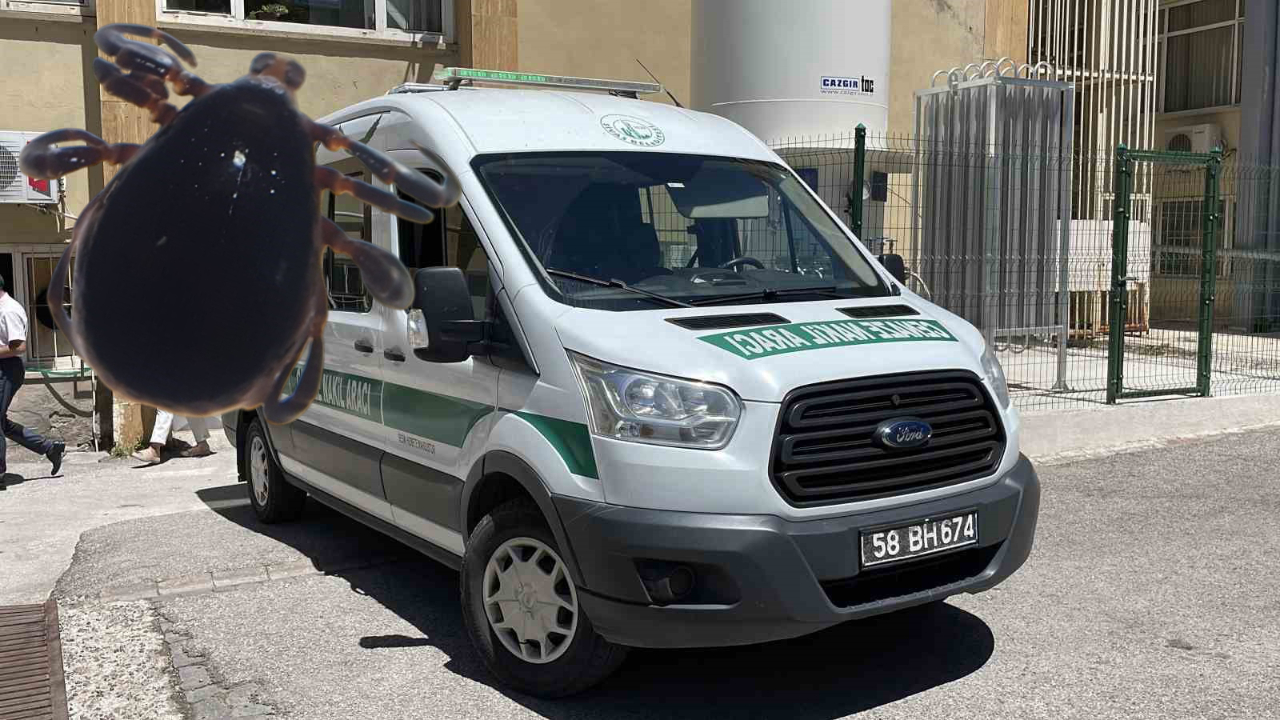 Çiftçi Keneden Hayatını Kaybetti