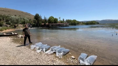 Dinar'da Baraj ve Göletlere 205 Bin Yavru Balık Bırakıldı