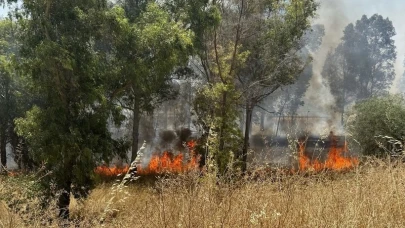 İletişim Başkanlığı Açıkladı: Son İki Günde 111 Yangın Meydana Geldi