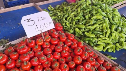 Meyve Cep Yakıyor, Sebze Fiyatları Normal