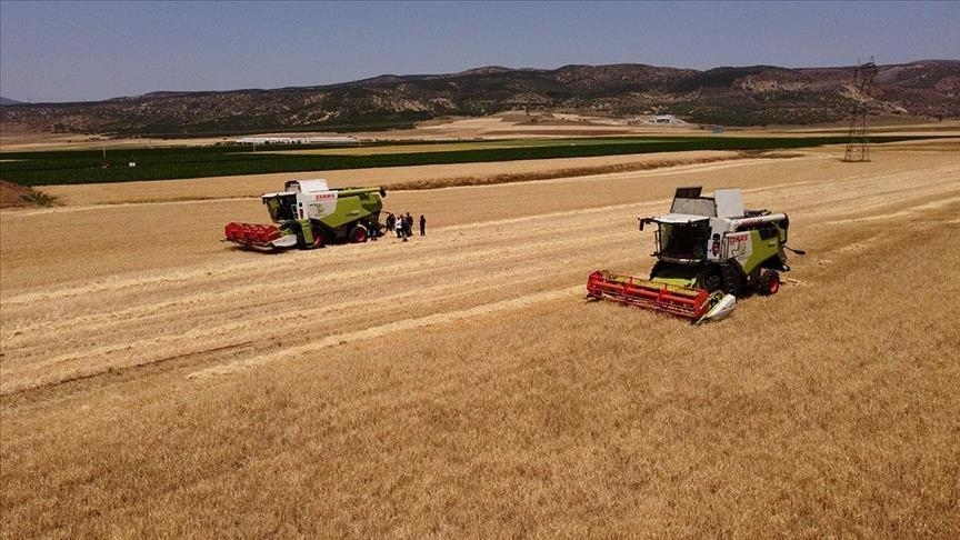 Çiftçiler Müjde! Hububat Alım Bedelleri Hesaplara Aktarılmaya Başladı