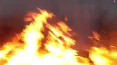Erenler Mahallesi’nde Havai Fişek Kutlaması Yangına Neden Oldu
