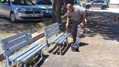 Dinar da Parklar Yenileniyor