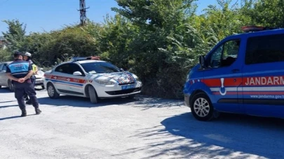Manavgat'ta Kaçan Aslanın Ardından Hayvan Parkı Mühürlendi