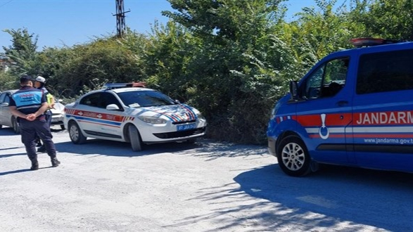 Manavgat'ta Kaçan Aslanın Ardından Hayvan Parkı Mühürlendi