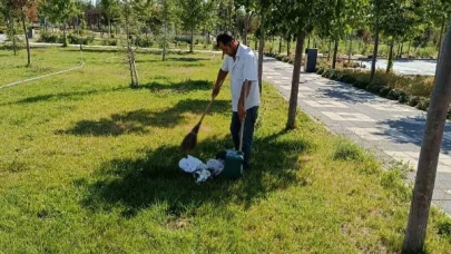 Şuhut'ta Yeşil Dönüşüm Hız Kesmiyor