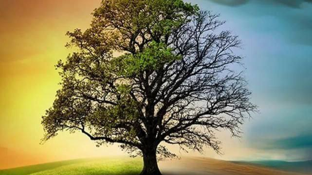 İklim Kanunu Resmi Gazete’de Yayımlandı!
