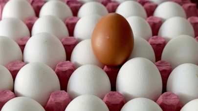 Resmi Gazete’de Yayımlandı: Yumurta İhracatına Yeni Düzenleme
