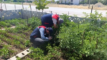 Afyon'da Küçük Ölçekli Üreticiye Teknik Destek Hamlesi