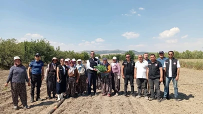 Taşoluk’ta Tarımsal Kalkınmaya Brokoli Desteği!