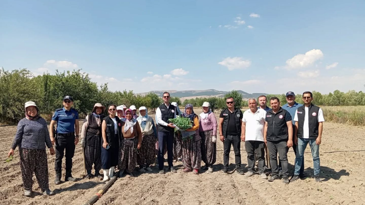 Taşoluk’ta Tarımsal Kalkınmaya Brokoli Desteği!