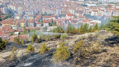 Ağaçlık alanda Yangın Çıktı