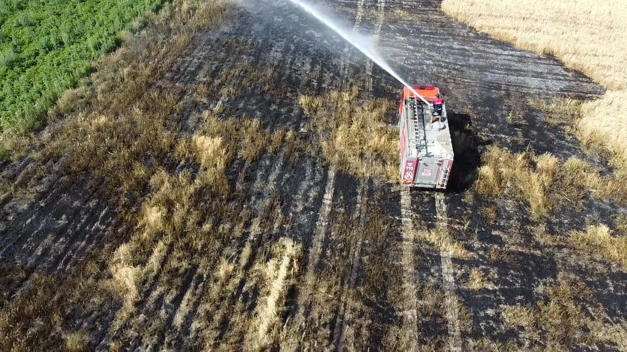 Buğday Ekili Alan Yangında Zarar Gördü
