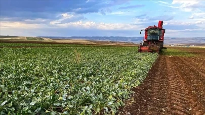 Tarım Arazisi Olanları İlgilendiren Karar: 2 Yıl Ekilmeyen Tarlalar 1 Eylül’den İtibaren Kiraya Verilecek
