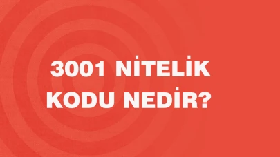 3001 Nitelik Kodu Nedir?