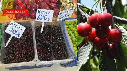 Kirazın Kilosu Dalda 300, Tezgahta 600 TL!