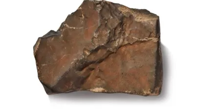 Mars'tan dünyaya düşen en büyük göktaşı 5,3 milyon dolara satıldı