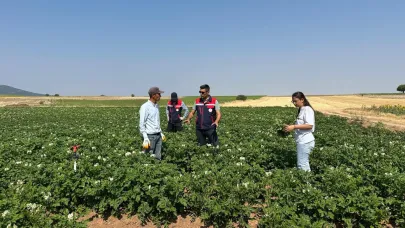 Afyonkarahisar’da Bitki Sağlığı Denetimleri Sürüyor