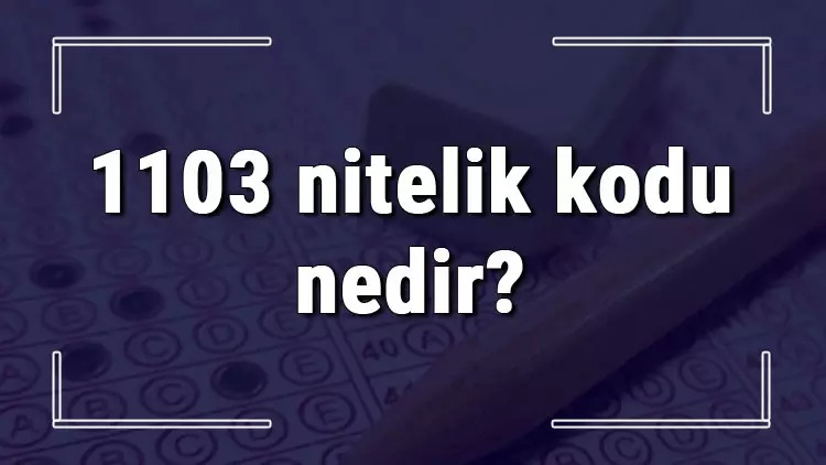 1103 Nitelik Kodu Nedir?