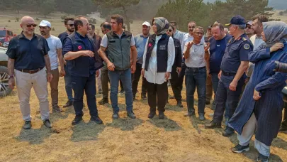 Vali Yiğitbaşı, Yangın Bölgesinde İncelemelerde Bulundu