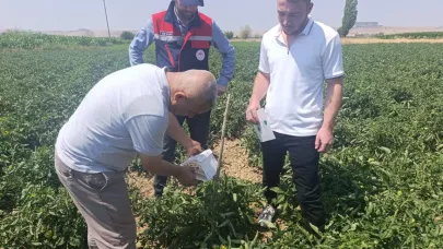 Afyonkarahisar’da Bitki Sağlığı Çalışmaları Aralıksız Sürüyor