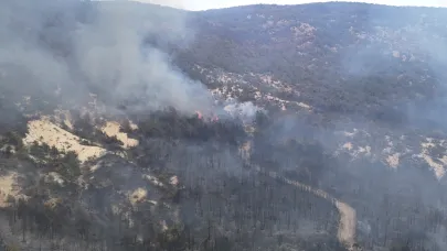 Afyonkarahisar’da Orman Yangını Kontrol Altına Alındı