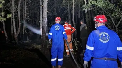 Türkiye Diyanet Vakfı'ndan Orman Yangınlarına Destek Eli