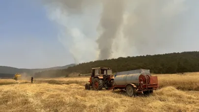 Sarıcaova Köylüleri Yangın Gölgesinde İmeceyle Hasat Yapıyor